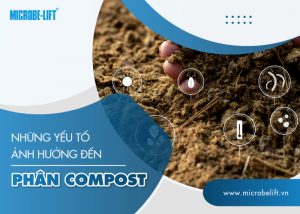 yếu tố ảnh hưởng đến phân compost