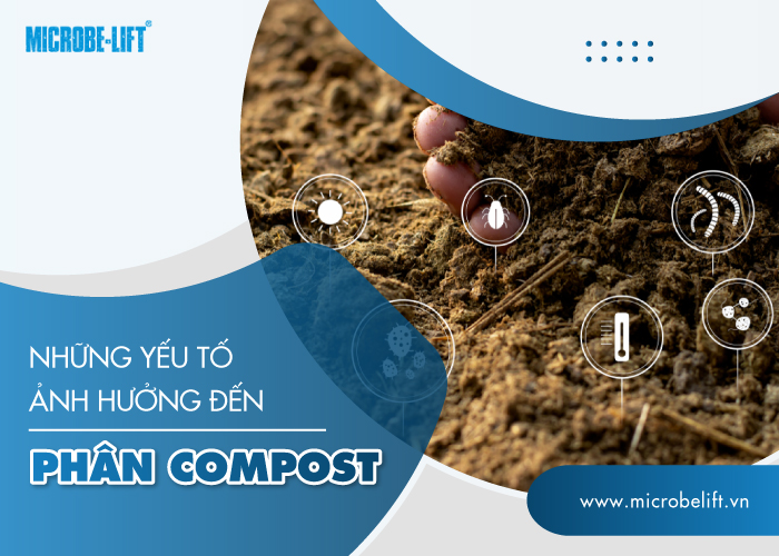 yếu tố ảnh hưởng đến phân compost