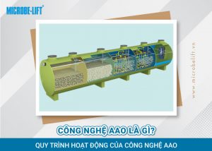 Công nghệ AAO