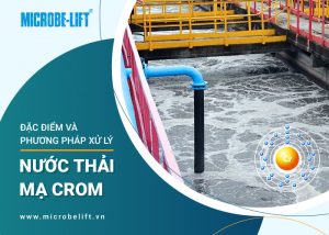 xu ly nuoc thai ma crom 1