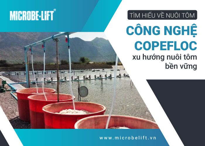 nuoi tom Cong nghe copefloc 1