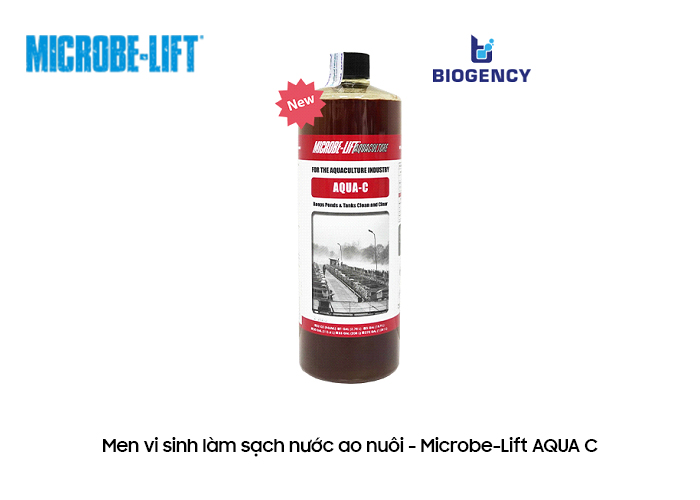 Dùng men vi sinh làm sạch nước ao nuôi - Microbe-Lift AQUA C