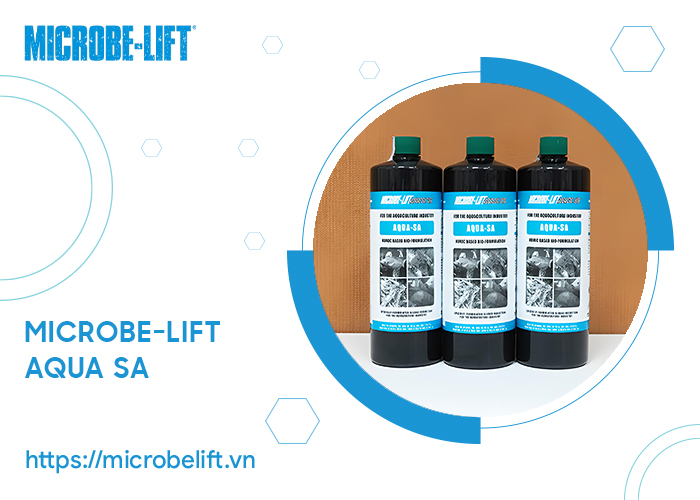 Microbe Lift AQUA SA 1