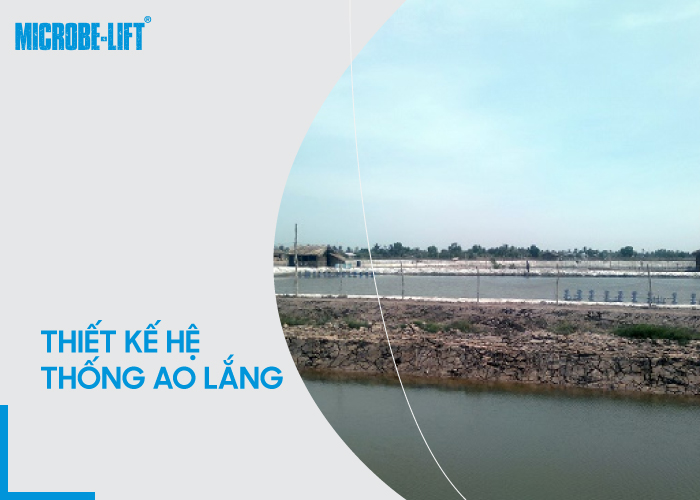 Bí quyết nuôi tôm bền vững từ “vua tôm” Sáu Ngoãn 2 Thiet ke he thong ao lang