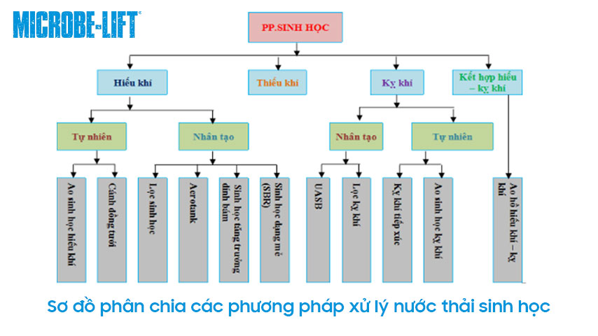 so do phan chia cac phuong phap xu ly nuoc thai sinh hoc