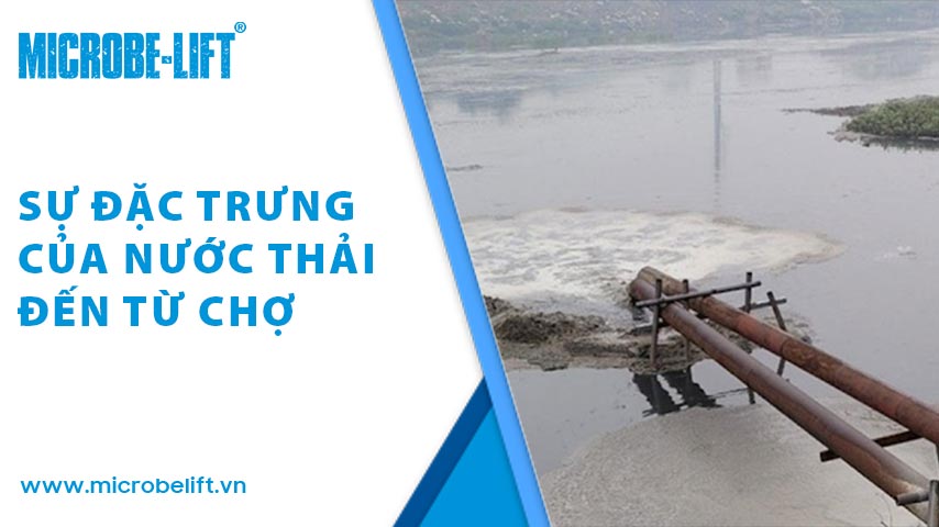2 Xu ly nuoc thai phat sinh tu cho