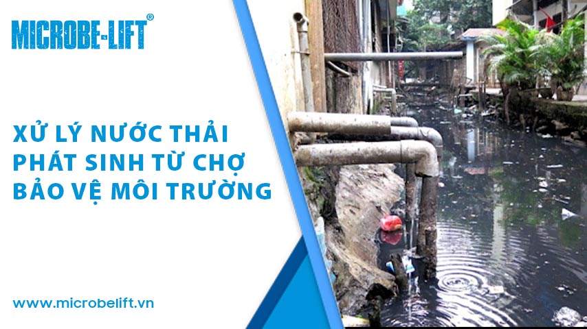 3 Xu ly nuoc thai phat sinh tu cho