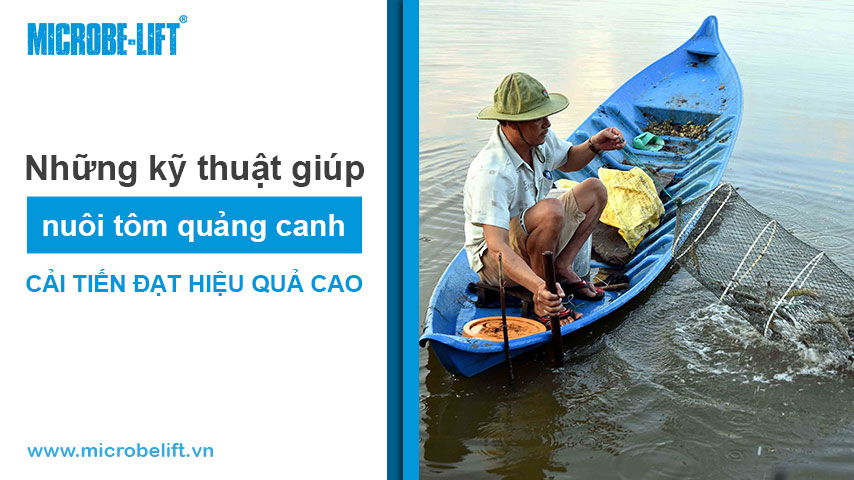 nuoi tom quang canh