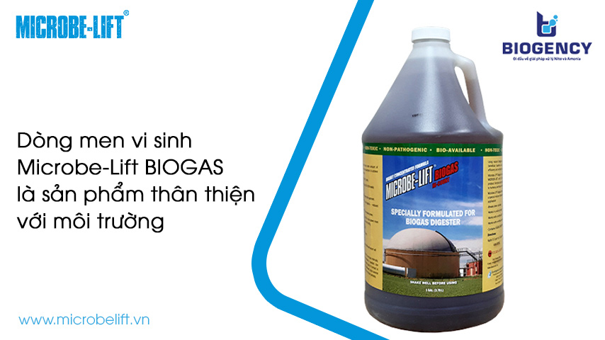 Biogas là nhiên liệu gì? Được ứng dụng ra sao?