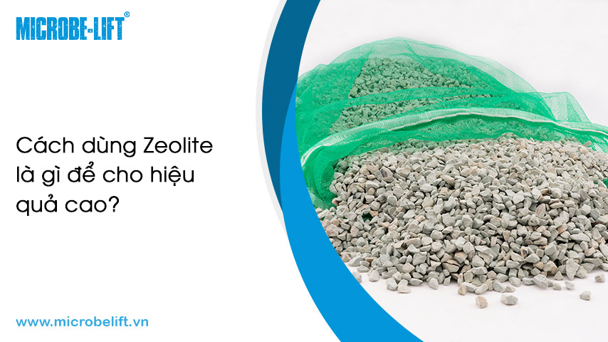 Zeolite là gì? Đặc điểm và cách dùng trong nuôi tôm