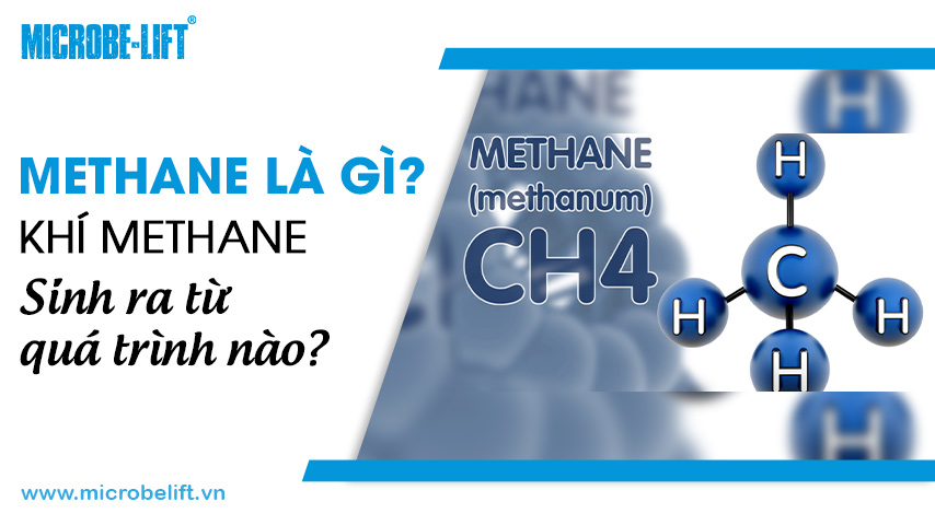 Methane là gì? Khí Methane sinh ra từ quá trình nào?
