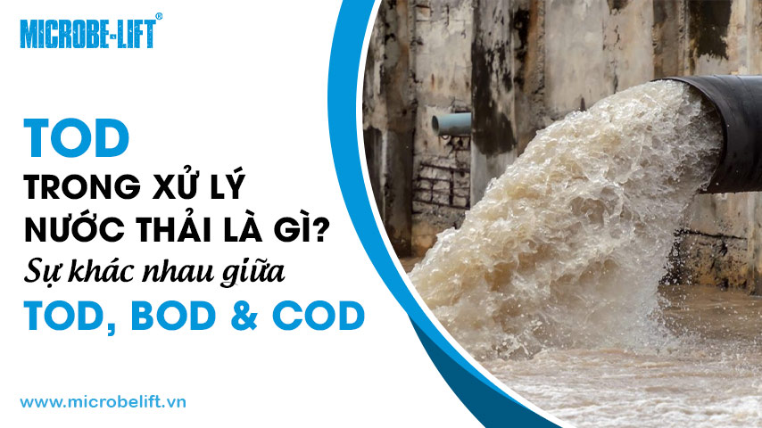 TOD trong xử lý nước thải là gì? Sự khác nhau giữa TOD, BOD và COD