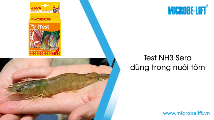 Cách sử dụng test NH3 Sera trong nuôi tôm hiệu quả