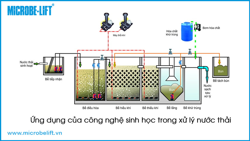 Ứng dụng công nghệ sinh học trong xử lý nước thải