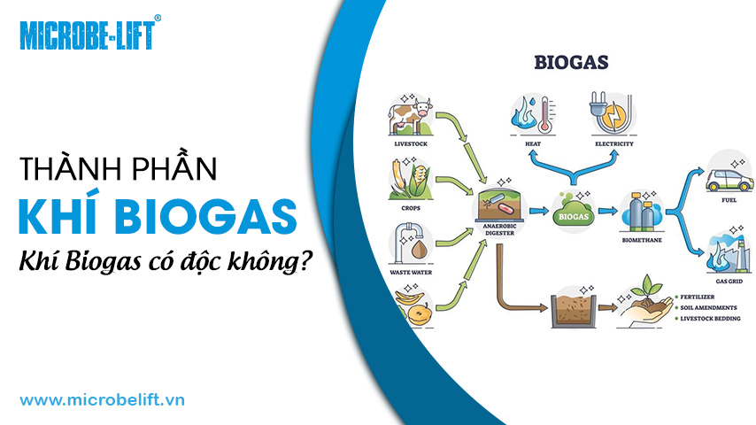 Thành phần khí Biogas. Khí Biogas có độc không?