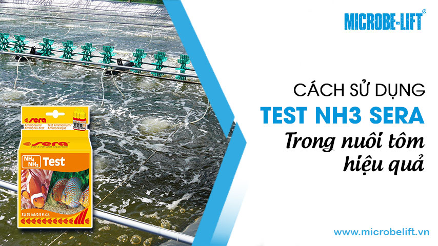 Cách sử dụng test NH3 Sera trong nuôi tôm hiệu quả