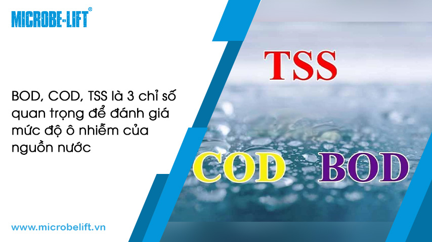 Ý nghĩa 3 chỉ số BOD, COD, TSS trong nước thải