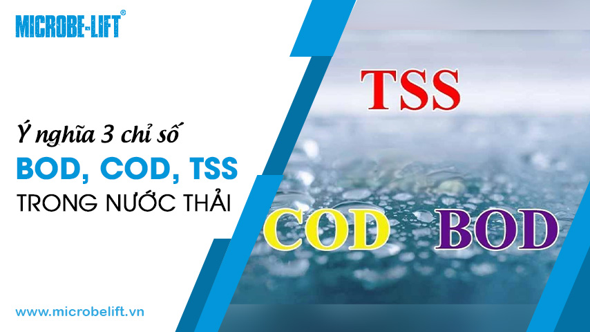 Ý nghĩa 3 chỉ số BOD, COD, TSS trong nước thải