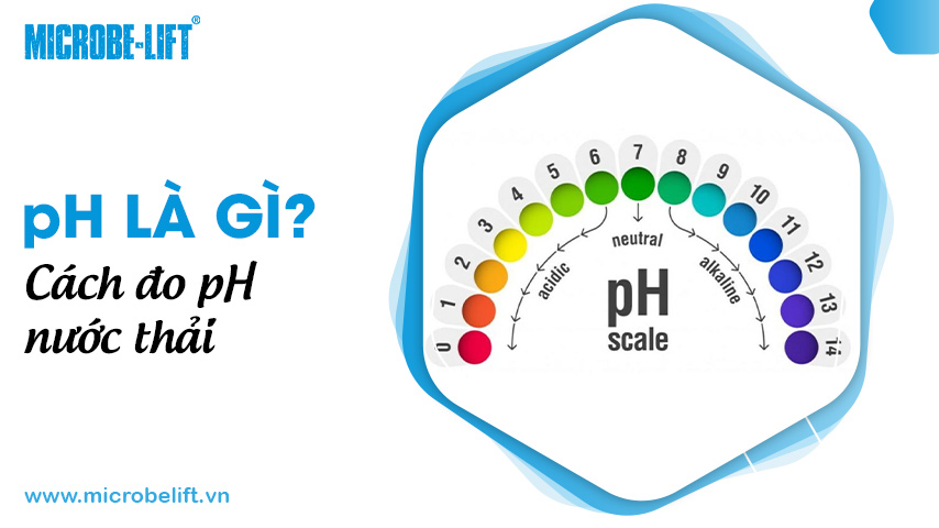 pH là gì? Cách đo pH nước thải