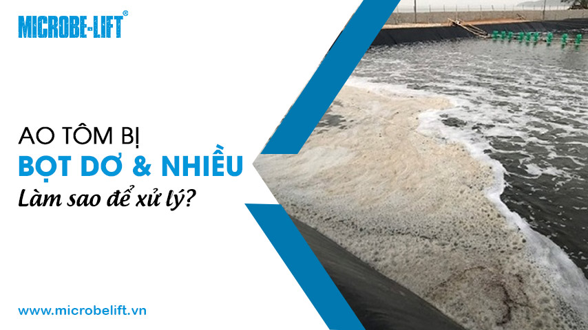 Ao tôm bị bọt dơ & nhiều, làm sao để xử lý?