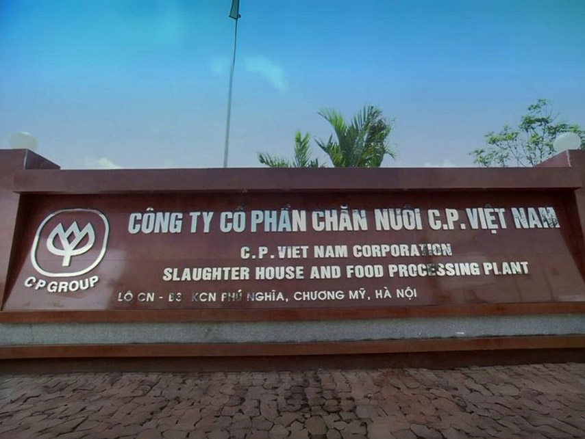 Tham khảo 6 doanh nghiệp sản xuất tôm giống uy tín hiện nay!