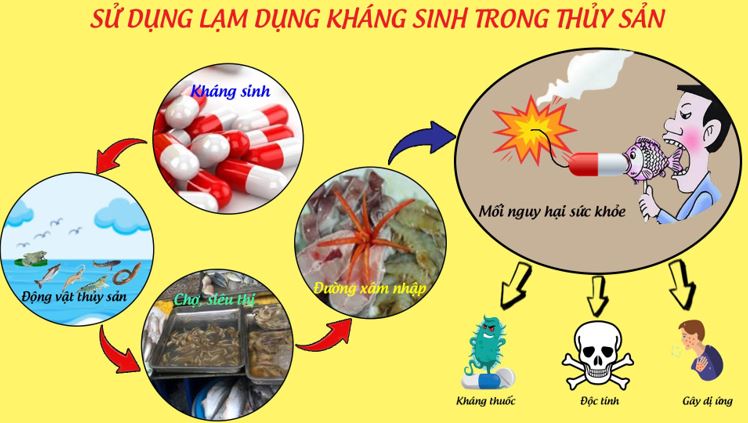 Danh mục kháng sinh cấm trong nuôi trồng thủy sản