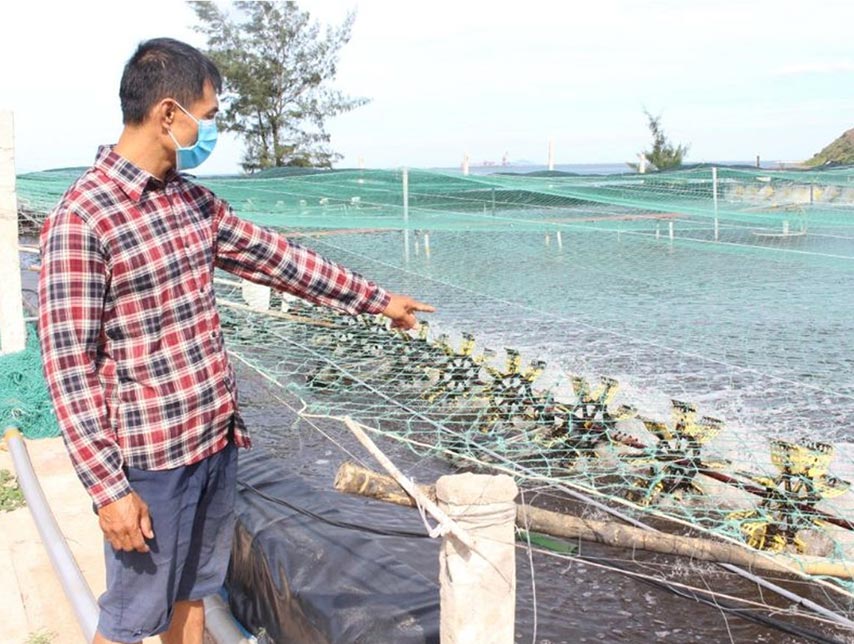 Cách ngăn chặn dịch bệnh lây lan ở trang trại nuôi tôm