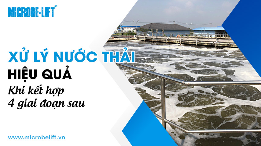 Xử lý nước thải hiệu quả khi kết hợp 4 giai đoạn sau