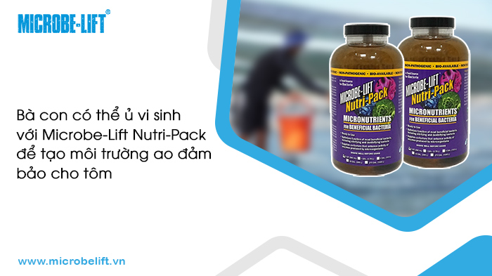 Ủ vi sinh nuôi tôm với dinh dưỡng Microbe-Lift Nutri-Pack