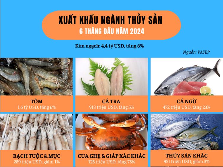 Thống kê số liệu xuất khẩu ngành thủy sản trong 6 tháng đầu năm 2024