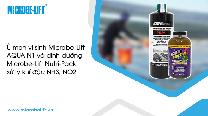 Ủ vi sinh nuôi tôm với dinh dưỡng Microbe-Lift Nutri-Pack