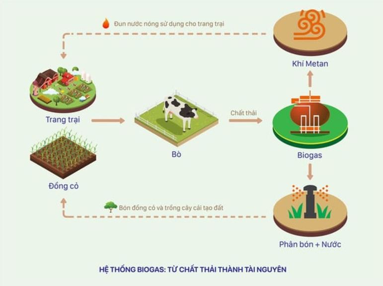 Tính chất vật lý và hóa học của khí Metan