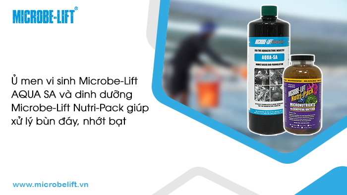 Ủ vi sinh nuôi tôm với dinh dưỡng Microbe-Lift Nutri-Pack