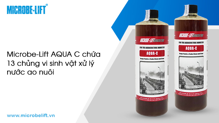 Các sản phẩm ứng dụng công nghệ vi sinh vật trong xử lý môi trường