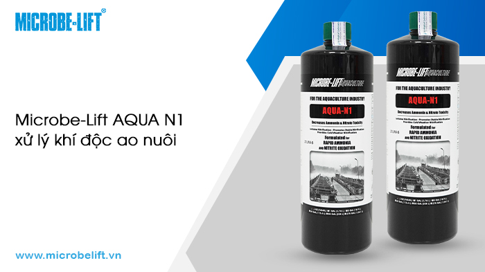 Các sản phẩm ứng dụng công nghệ vi sinh vật trong xử lý môi trường