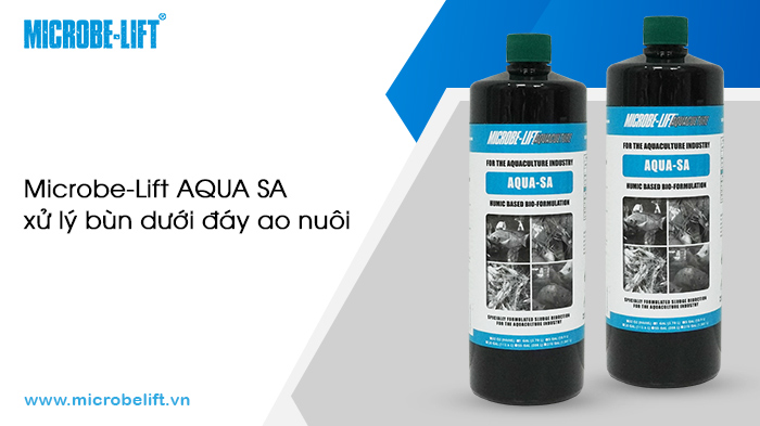 Các sản phẩm ứng dụng công nghệ vi sinh vật trong xử lý môi trường