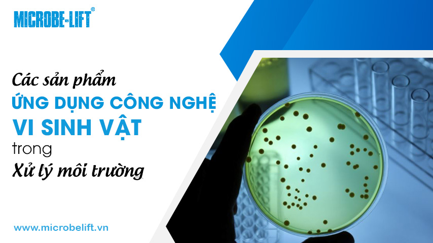 Các sản phẩm ứng dụng công nghệ vi sinh vật trong xử lý môi trường