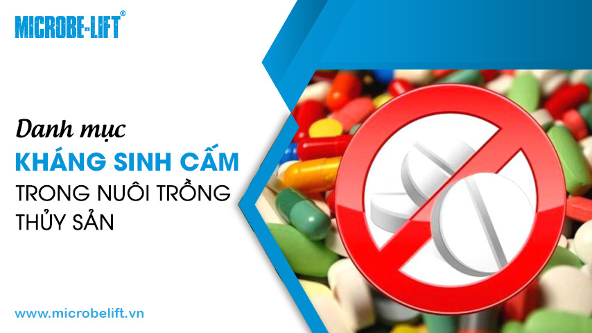 Danh mục kháng sinh cấm trong nuôi trồng thủy sản