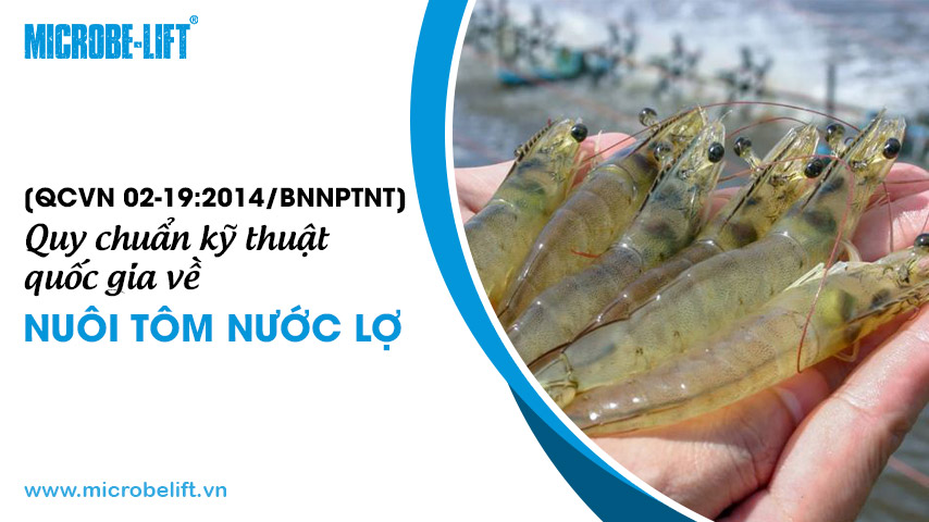 [QCVN 02-19:2014/BNNPTNT] Quy chuẩn kỹ thuật quốc gia về nuôi tôm nước lợ