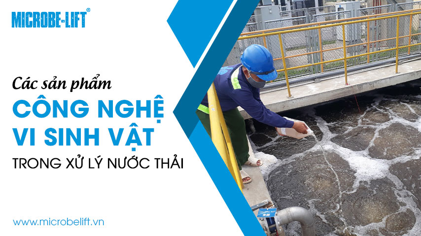 Các sản phẩm công nghệ vi sinh vật trong xử lý nước thải