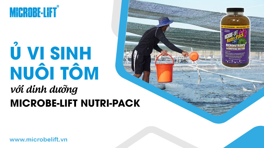 Ủ vi sinh nuôi tôm với dinh dưỡng Microbe-Lift Nutri-Pack