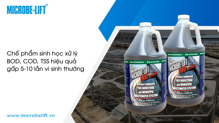 Chế phẩm sinh học xử lý môi trường là gì? Các loại phổ biến