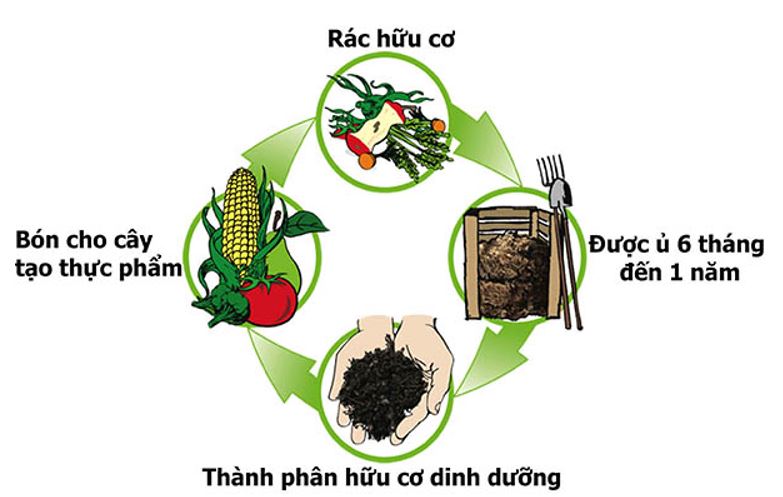 Xử lý rác thải bằng phương pháp sinh học