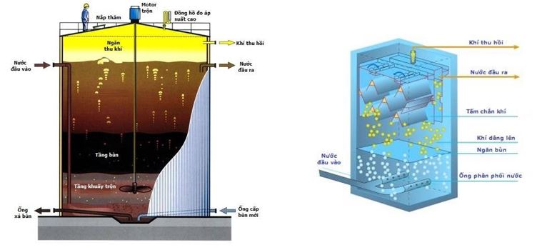 Phân biệt phân giải kỵ khí và phân giải hiếu khí