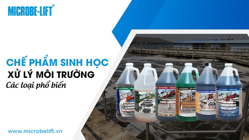 Chế phẩm sinh học xử lý môi trường là gì? Các loại phổ biến