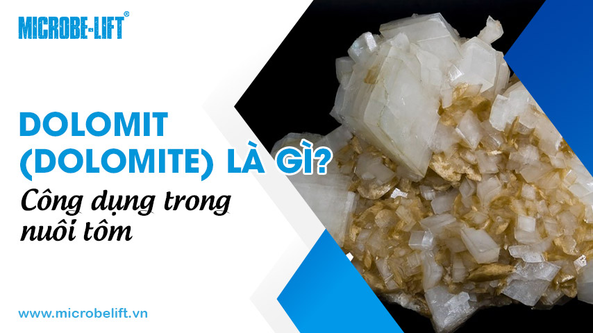 Dolomit (Dolomite) là gì? Công dụng trong nuôi tôm