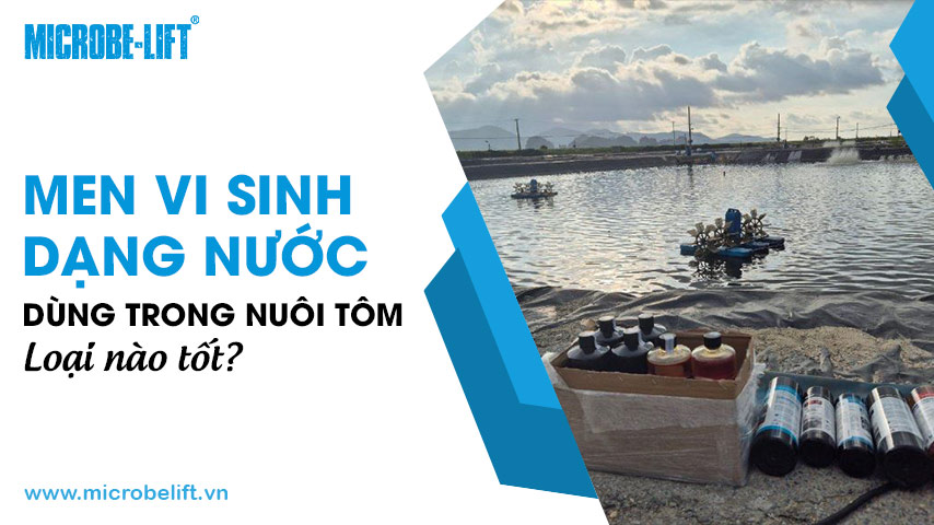 Men vi sinh dạng nước dùng trong nuôi tôm loại nào tốt?