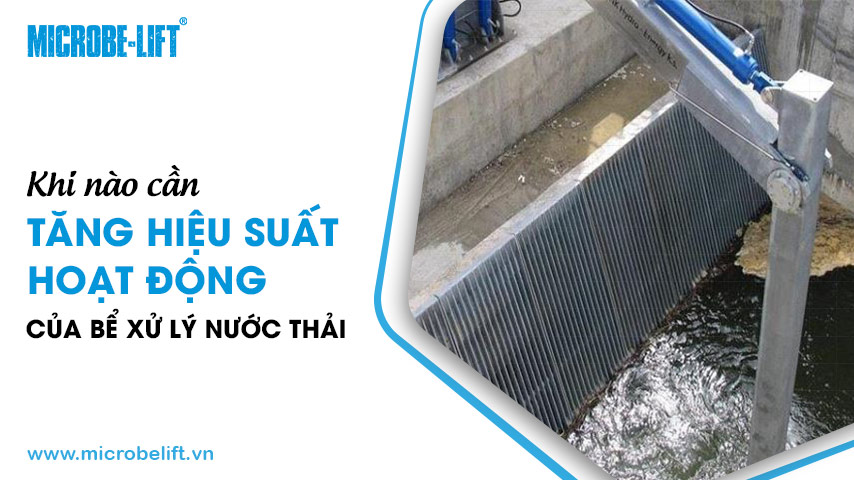 Làm gì để tăng hiệu suất hoạt động của bể xử lý nước thải?