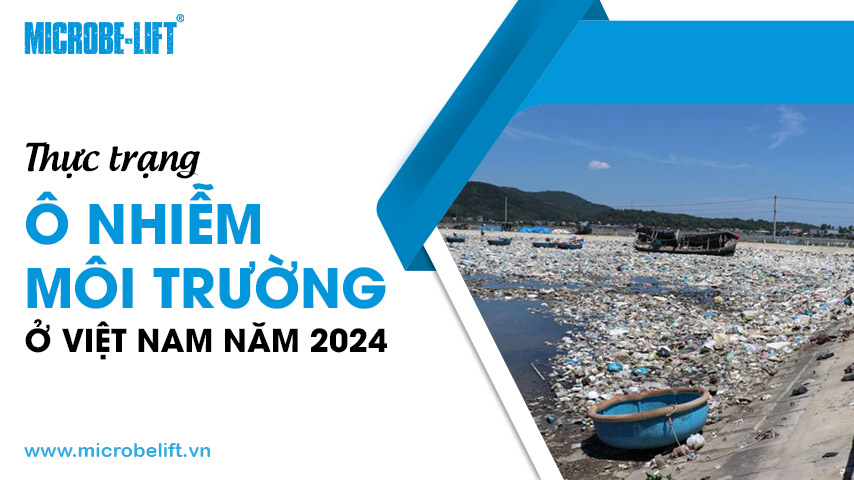 Thực trạng ô nhiễm môi trường ở Việt Nam năm 2024