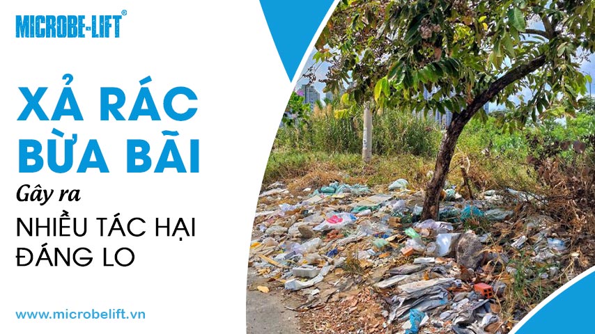 Xả rác bừa bãi gây ra nhiều tác hại đáng lo